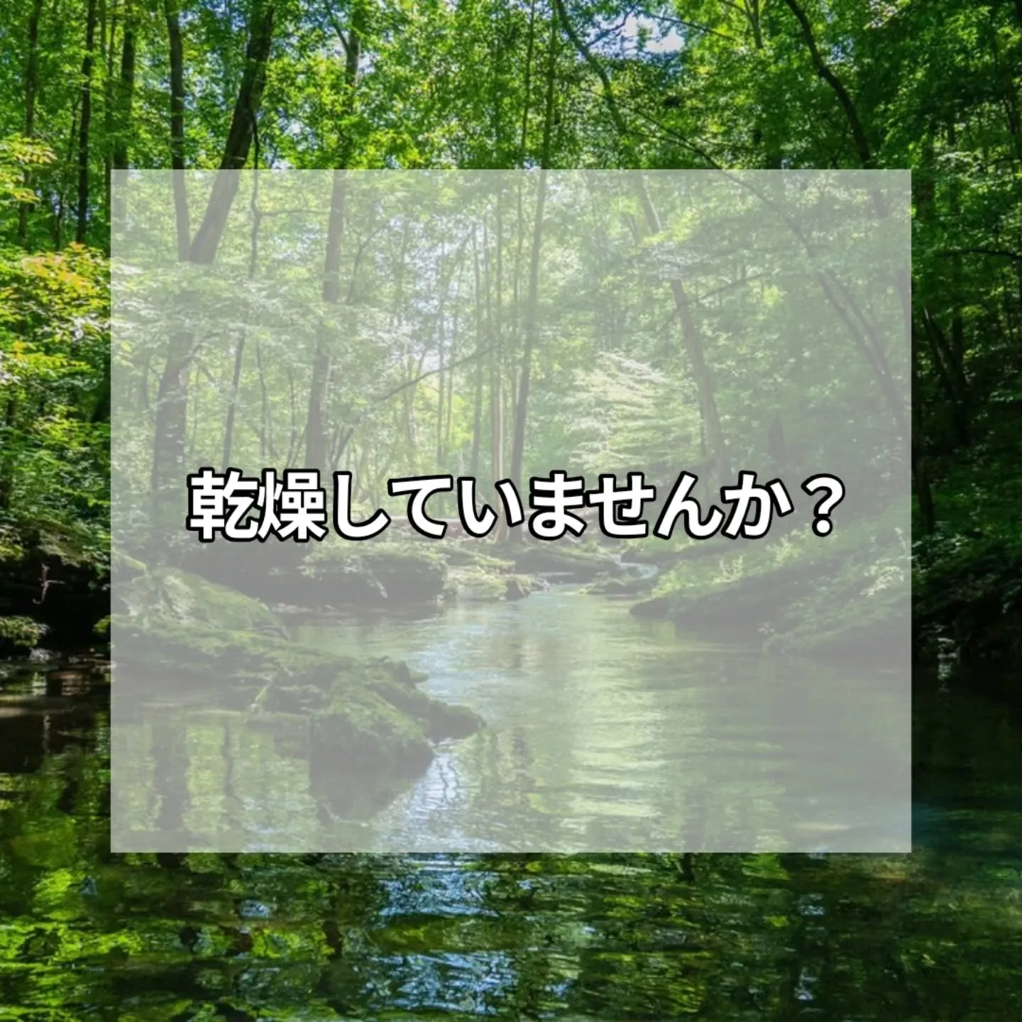 皆様、こんにちは！