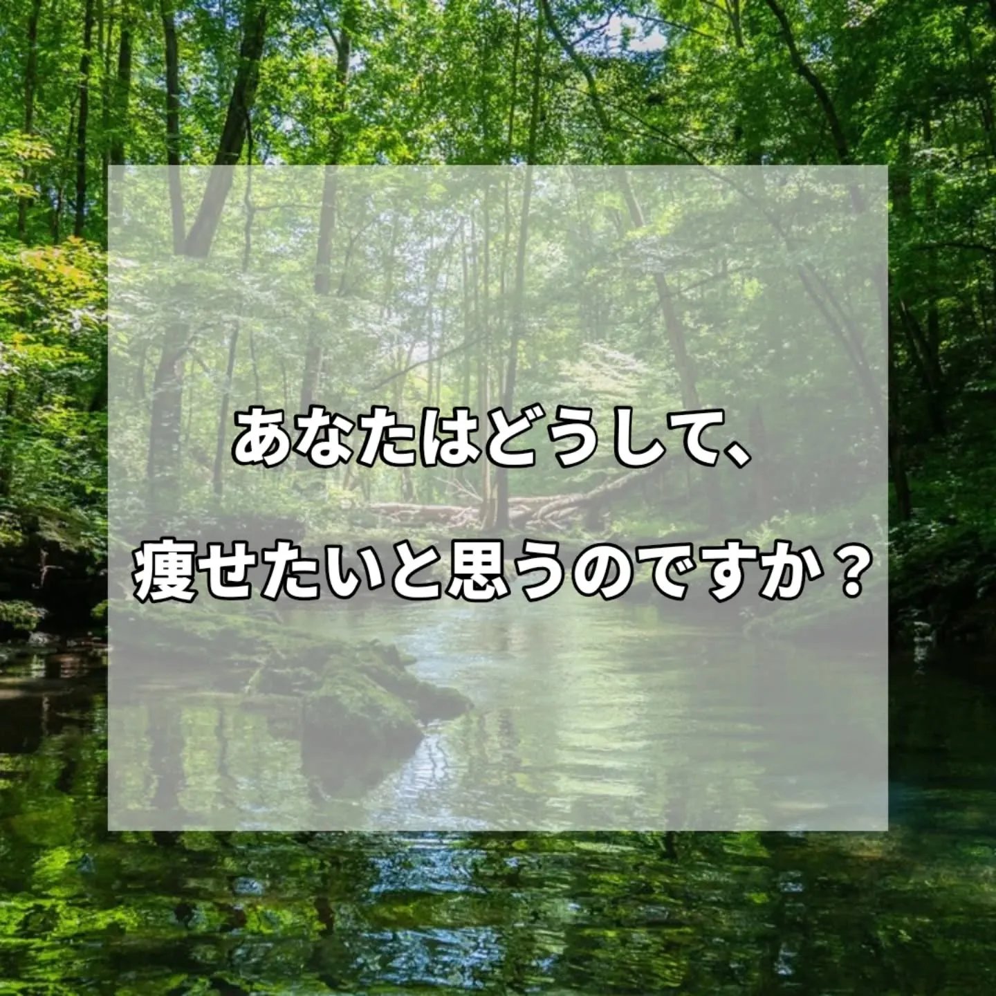 女性の皆様「ダイエット」なんて言葉に、思わず反応してしまいま...