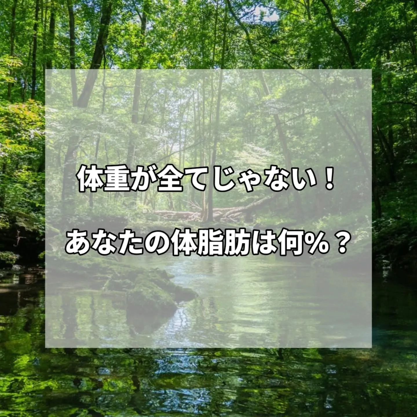 突然ですが、皆様は自身の体脂肪がどのくらいかご存知ですか？🤔