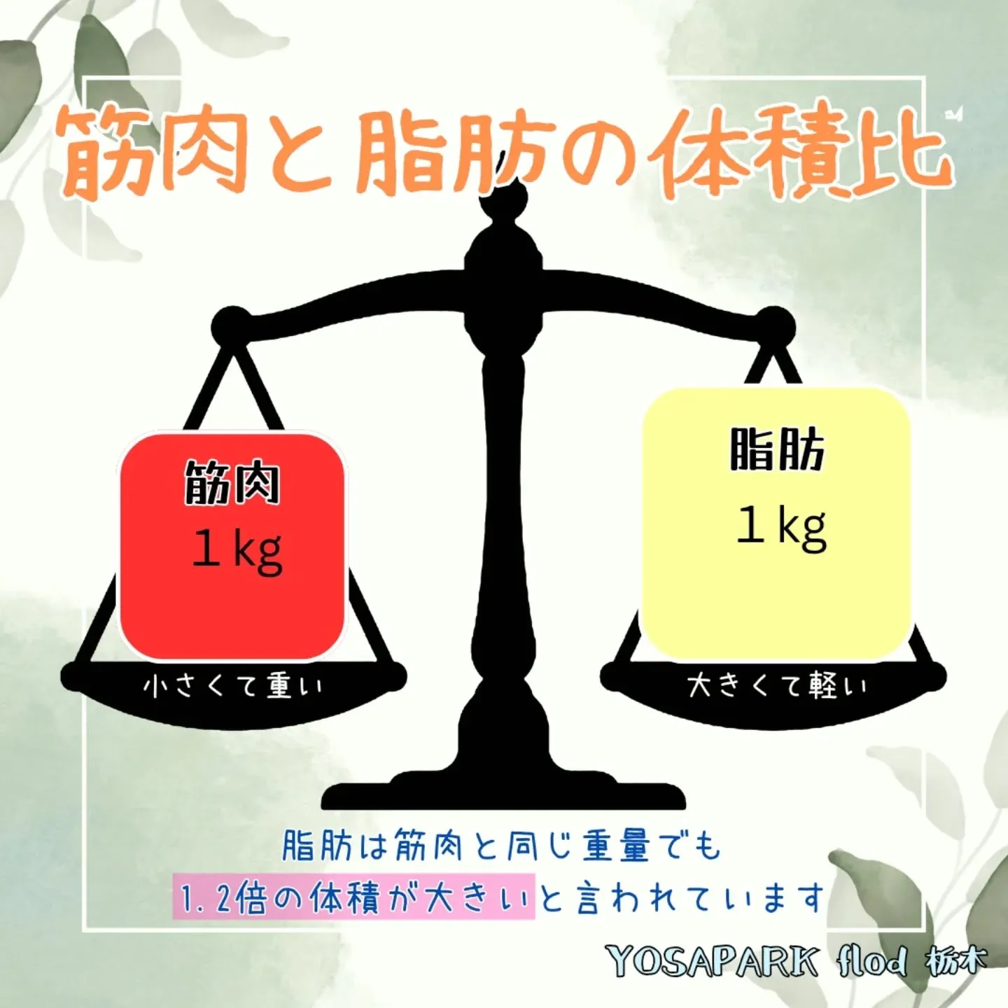 突然ですが、皆様は自身の体脂肪がどのくらいかご存知ですか?🤔