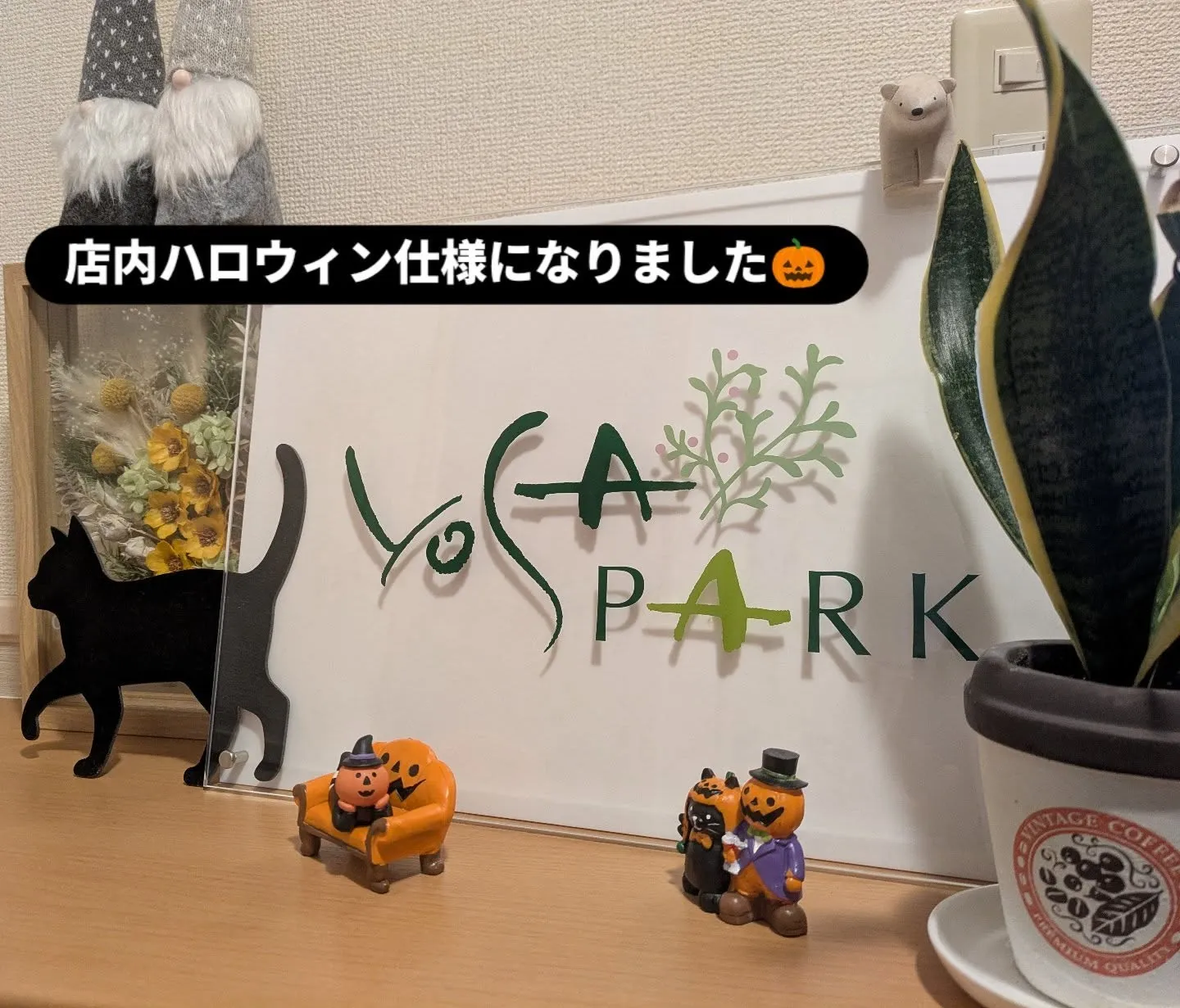 10月になり、涼しい風が心地よく、すっかり秋らしい季節になり...